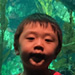 galleryImages6/11bb.jpg
